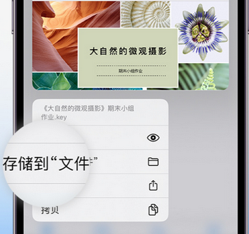 太仓apple维修中心分享iPhone文件应用中存储和找到下载文件