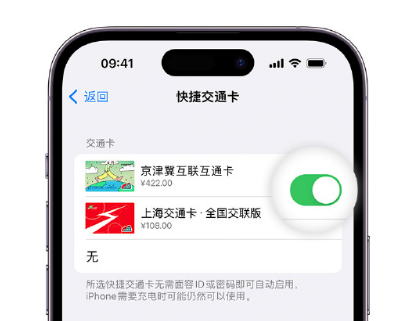 太仓apple维修点分享iPhone上更换Apple Pay快捷交通卡手绘卡面 