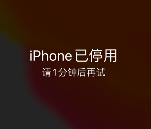 太仓苹果手机维修分享:iPhone 显示“不可用”或“已停用”怎么办？还能保留数据吗？ 