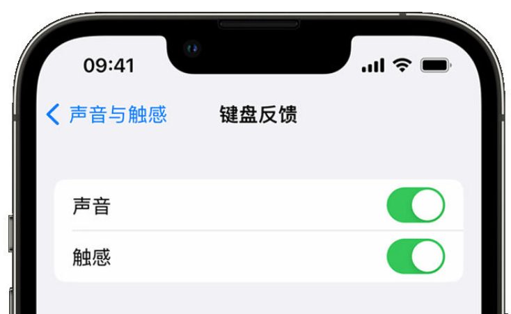 太仓苹果手机维修分享iPhone 14触感键盘使用方法 