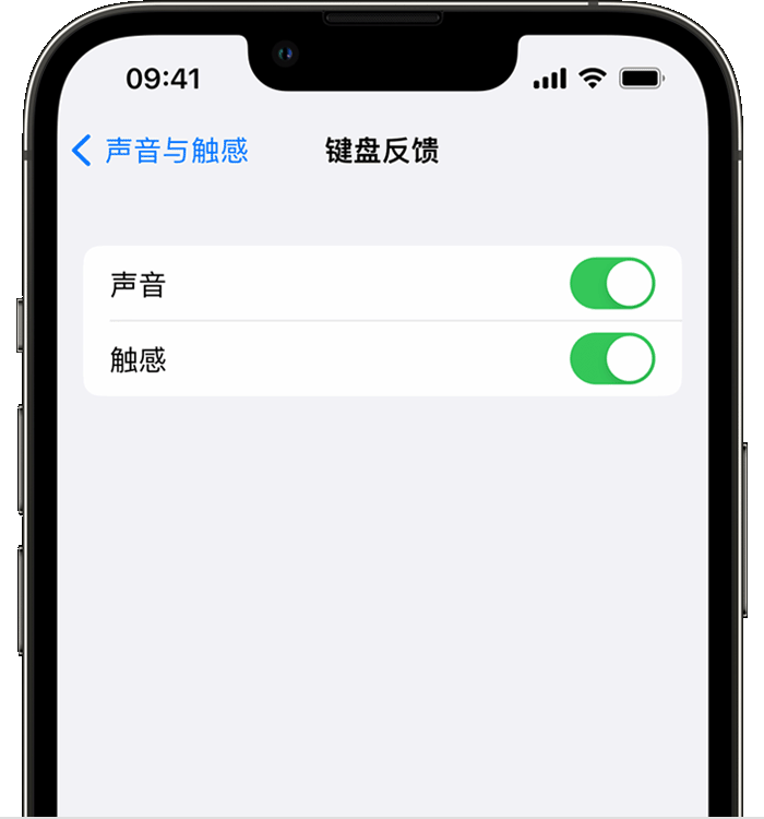 太仓苹果14维修店分享如何在 iPhone 14 机型中使用触感键盘 