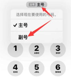 太仓苹果14维修店分享iPhone 14 Pro Max使用副卡打电话的方法 