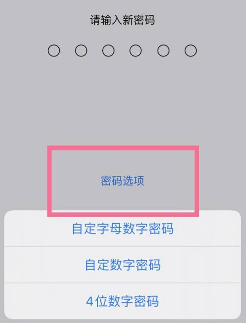 太仓苹果14维修分享iPhone 14plus设置密码的方法 