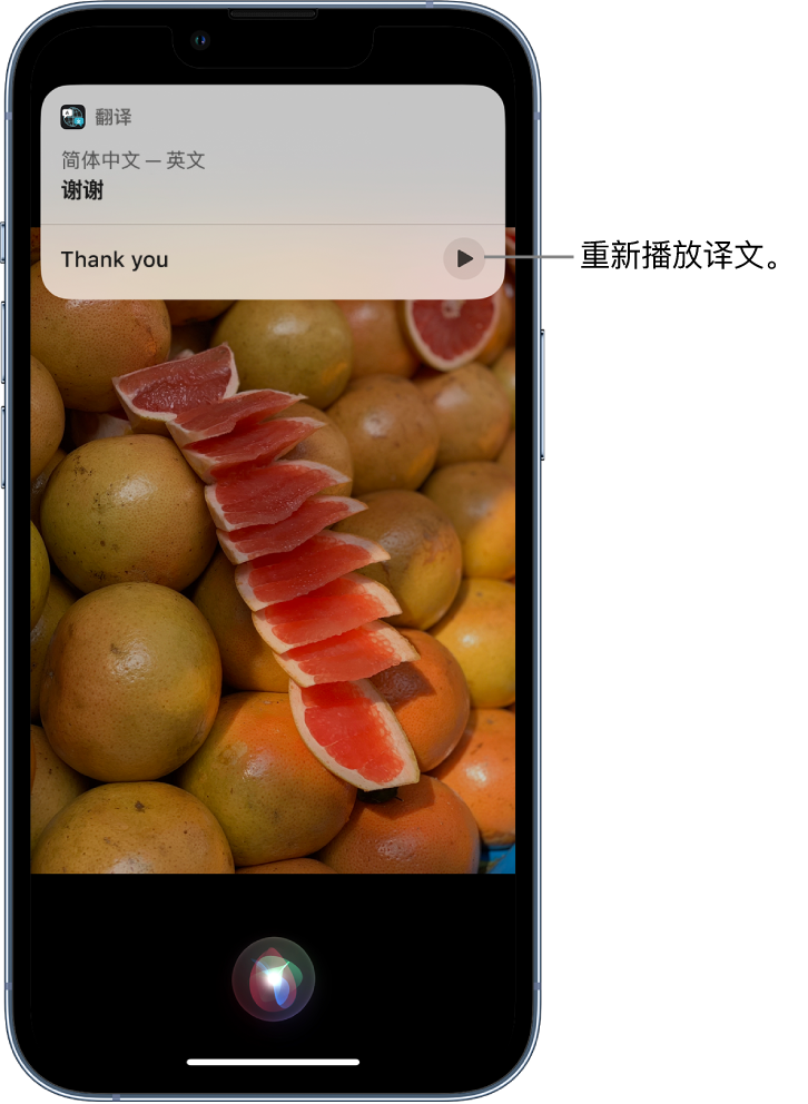 太仓苹果14维修分享 iPhone 14 机型中使用 Siri：了解 Siri 能帮你做什么 