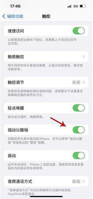 太仓苹果手机维修分享iPhone手机如何设置摇一摇删除文字 